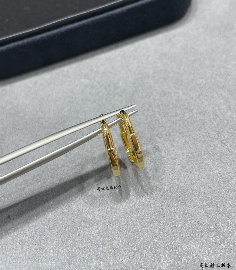 T*f*ny earrings